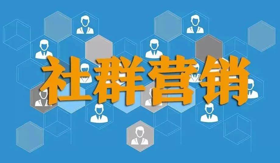 新奥长期免费资料大全，精选解释、解析与落实