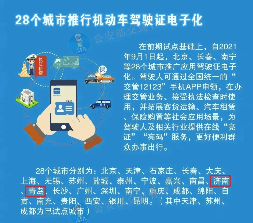 新奥天天免费资料大全正版优势，精选解释解析与落实策略