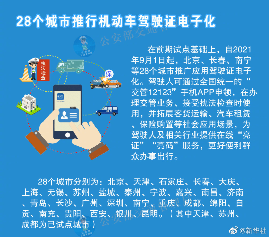 探索新境界，55123新澳精准资料查询与解析落实详解