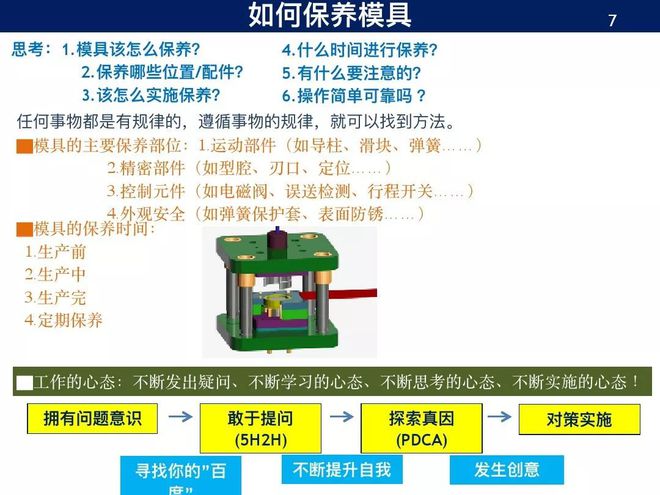 新奥正版免费资料大全，精选解释解析落实的重要性