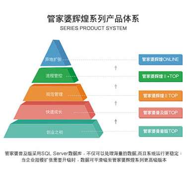 澳门管家婆精准解析与落实策略，探索成功的秘诀