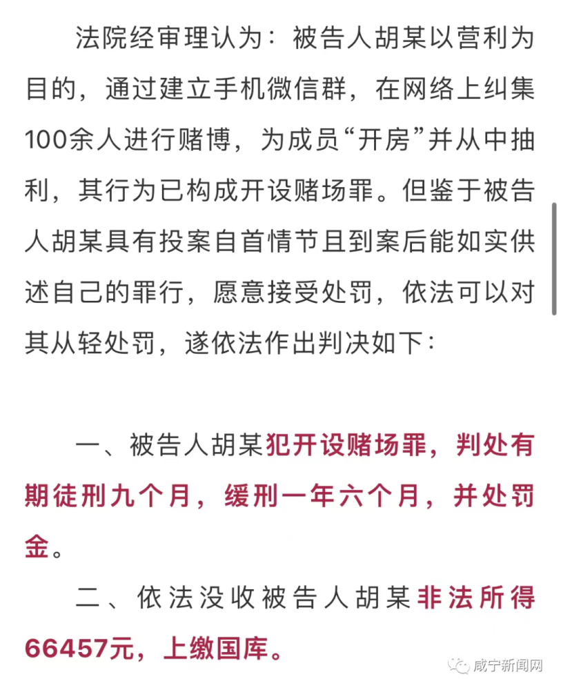 警惕新澳门一肖一码，犯罪行为的解析与防范