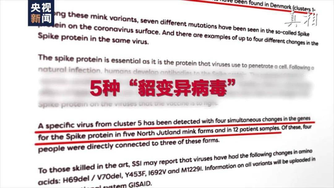 澳门正版资料免费大全新闻，精选解释解析与落实的探讨——警惕违法犯罪问题