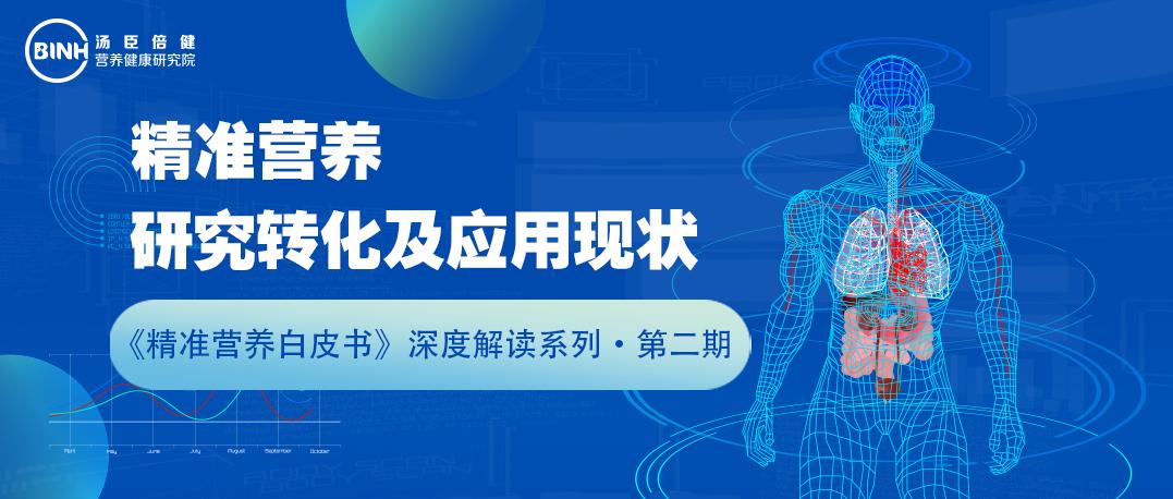 新澳精准资料免费提供，解析、落实与精选解释的第221期深度探讨