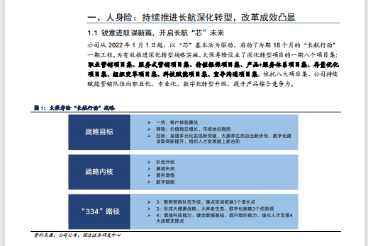 解析落实新奥集团2024全年精选资料，深度解析与行动指南