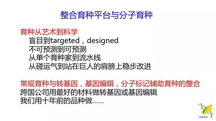 新澳门中特期期精准与精选解析落实，揭示背后的风险与挑战