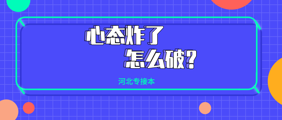 精准跑狗策略解析，77777与88888的实战应用与精选策略解析