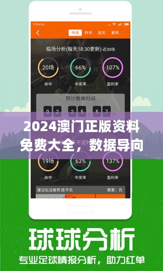 2024溪门正版资料免费大全详解与精选解析落实策略