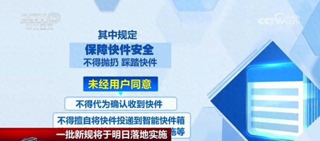 新奥天天免费资料大全正版优势，精选解释解析与落实策略