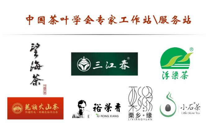 茶频道最新动态，探索茶文化的现代演绎与创新发展