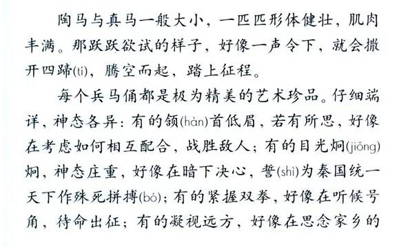 白小姐一码一肖中特一肖，词语释义与解释落实的探讨