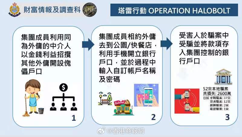 澳门彩民网资料与词语释义，犯罪预防与治理的探讨