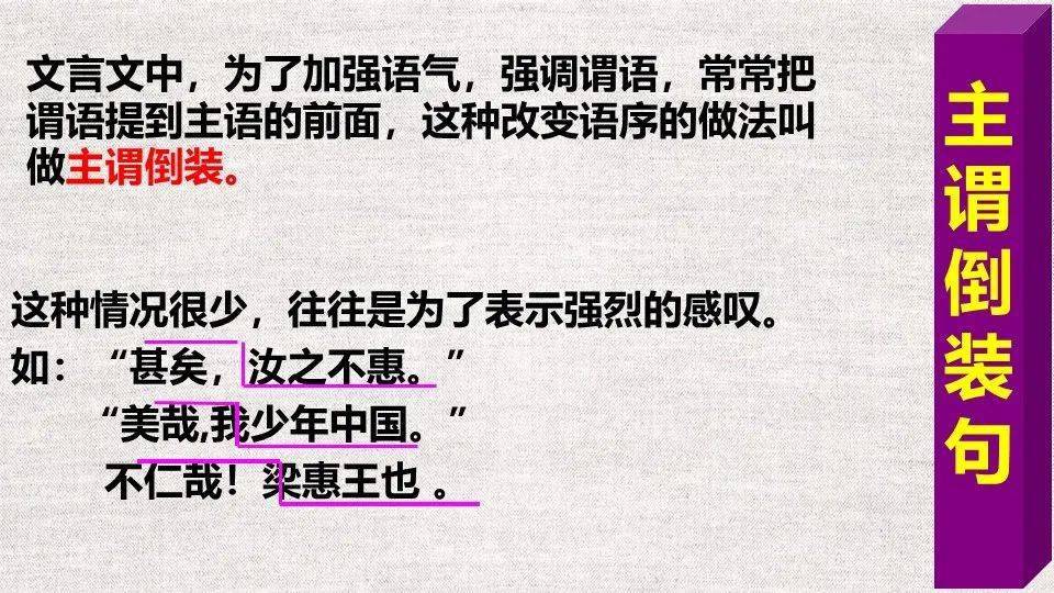 探索新澳门，资料大全、词语释义与行动落实的旅程（第123期）