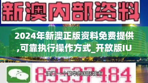 新澳2024正版资料免费公开，词语释义与落实解释