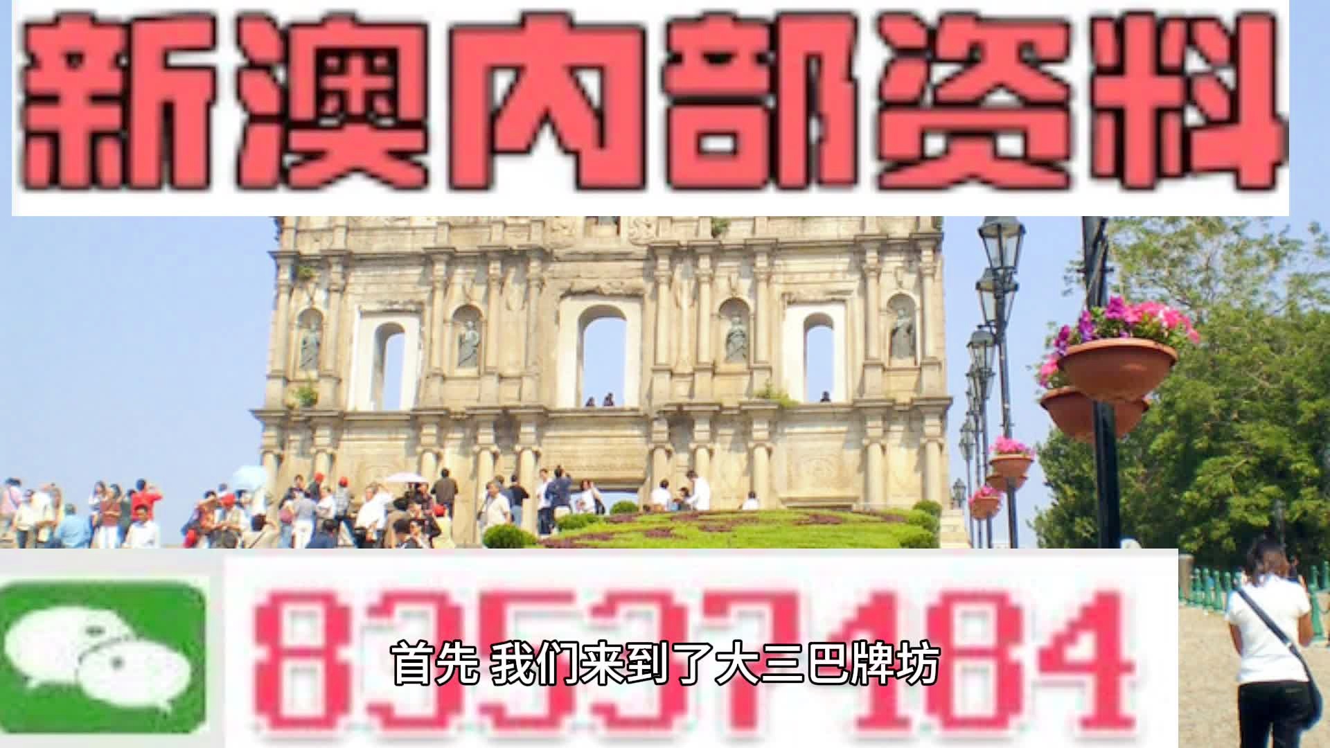 新澳2024正版资料免费公开，词语释义与落实解释