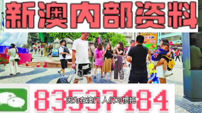 新澳2024年最精准资料大全——关键词深度解析与落实策略