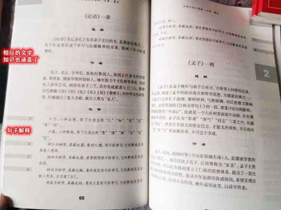 关于一肖一码与词语释义解释落实的文章