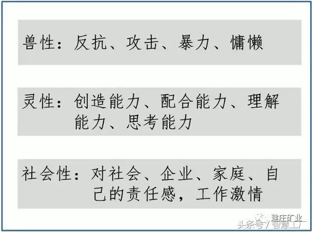 关于三肖三期必出特马与词语释义解释落实的文章