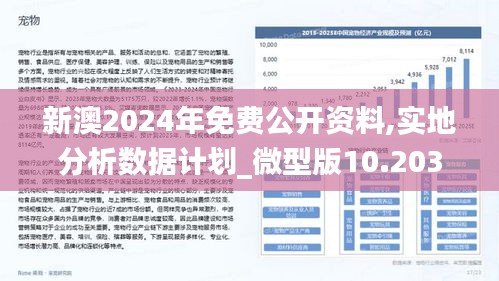 新澳2024正版资料免费公开，词语释义、解释落实与未来展望