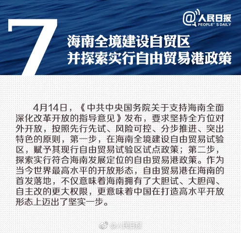 探索新澳正版资料的世界，词语释义与落实的重要性